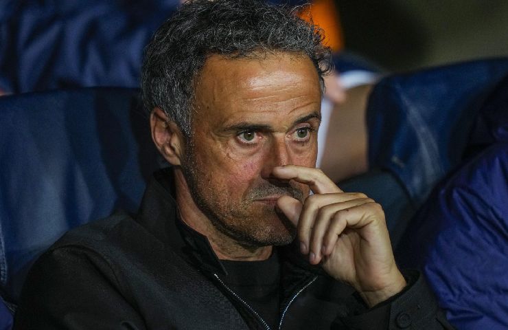 Luis Enrique allenatore PSG