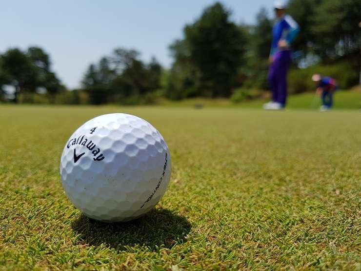 Pallina da golf