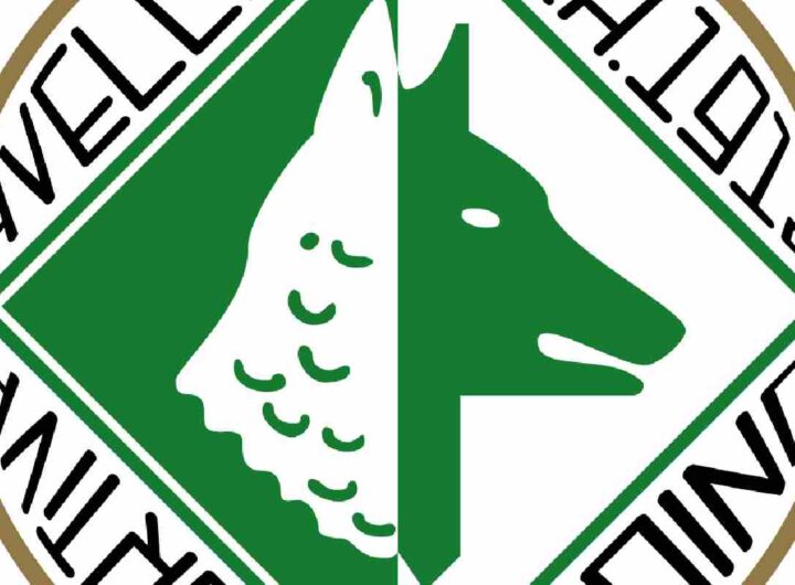 Avellino Calcio